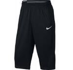 Шорты Nike Short Hamgtime Mesh | 841815-010